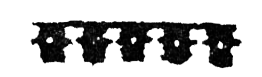 Охота за головами на Соломоновых островах - i_030.png