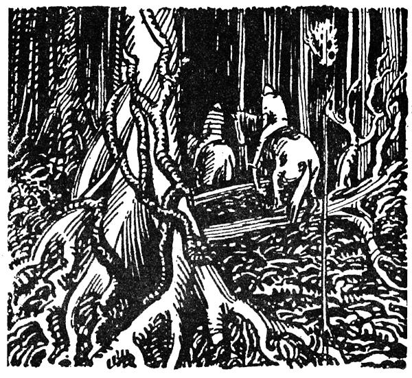 Охота за головами на Соломоновых островах - i_036.png
