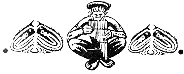 Охота за головами на Соломоновых островах - i_037.png