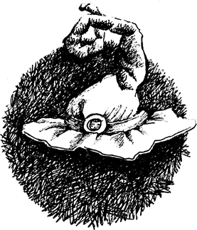 Волшебное наследство - i_005.png
