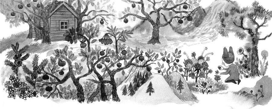 Зима от начала до конца (сборник) - i_015.png