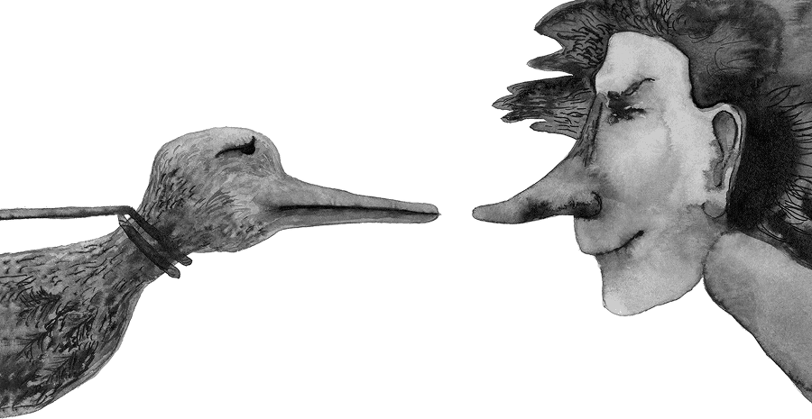 Зима от начала до конца (сборник) - i_031.png