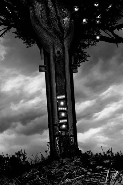 Rootless - _2.jpg