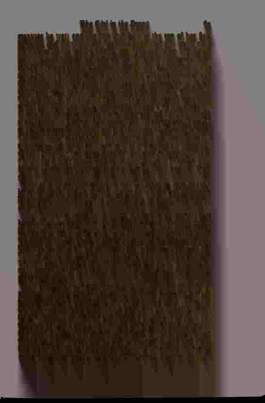 The Prince of Darkness - _133.jpg
