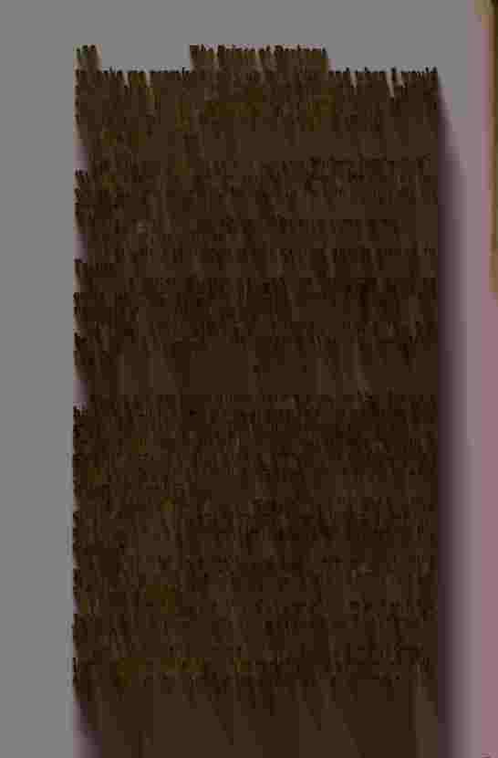 The Prince of Darkness - _375.jpg