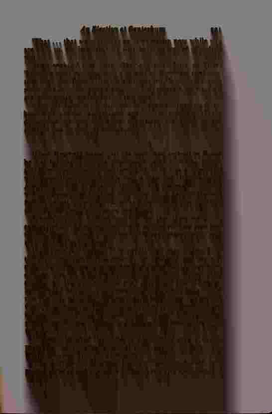 The Prince of Darkness - _444.jpg
