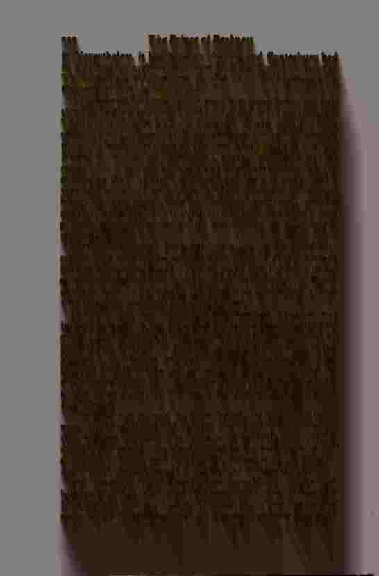 The Prince of Darkness - _446.jpg