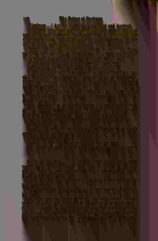 The Prince of Darkness - _387.jpg
