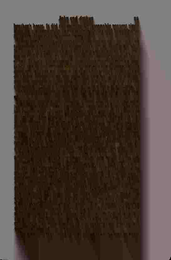 The Prince of Darkness - _54.jpg