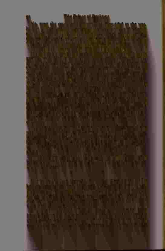 The Prince of Darkness - _187.jpg