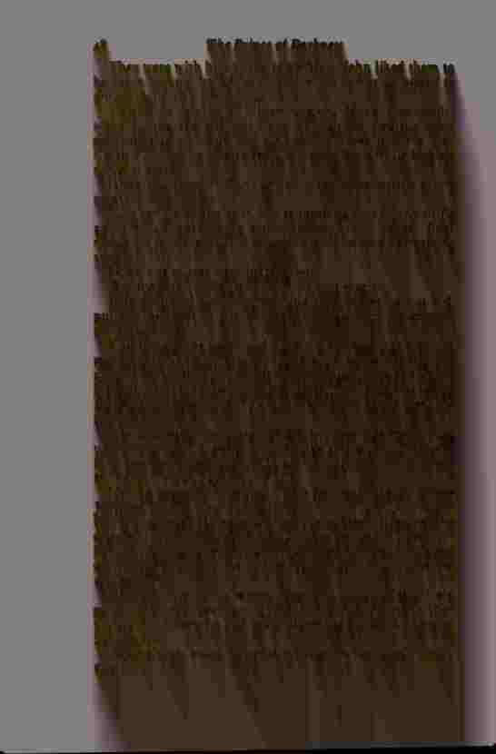 The Prince of Darkness - _100.jpg