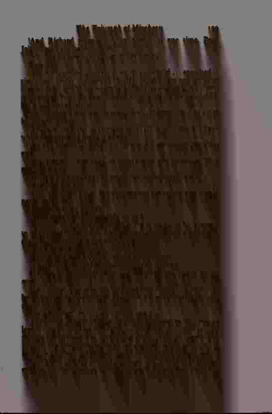 The Prince of Darkness - _261.jpg