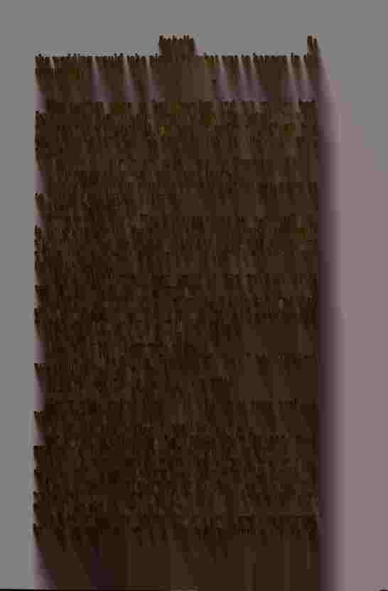 The Prince of Darkness - _165.jpg