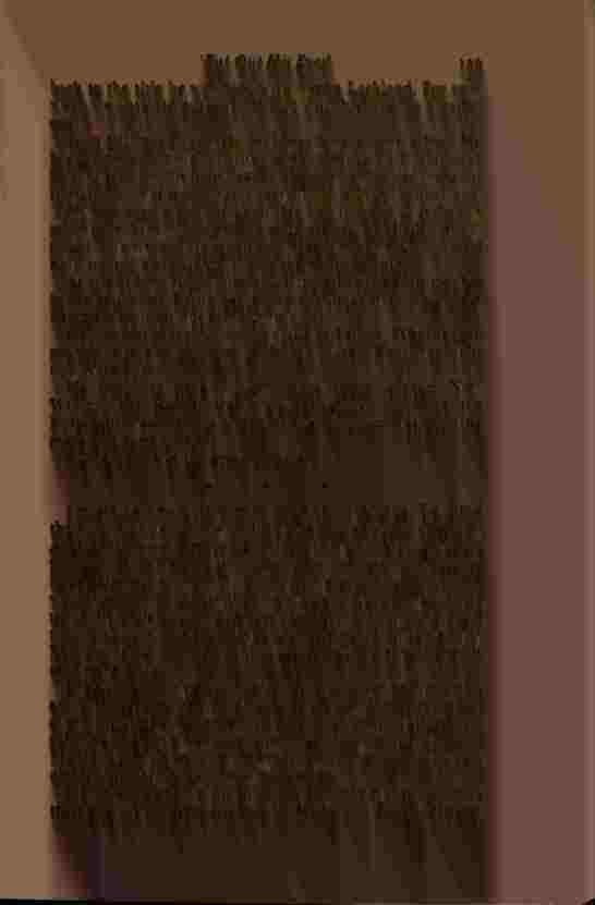 The Prince of Darkness - _321.jpg