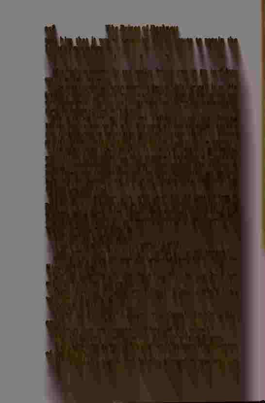 The Prince of Darkness - _598.jpg