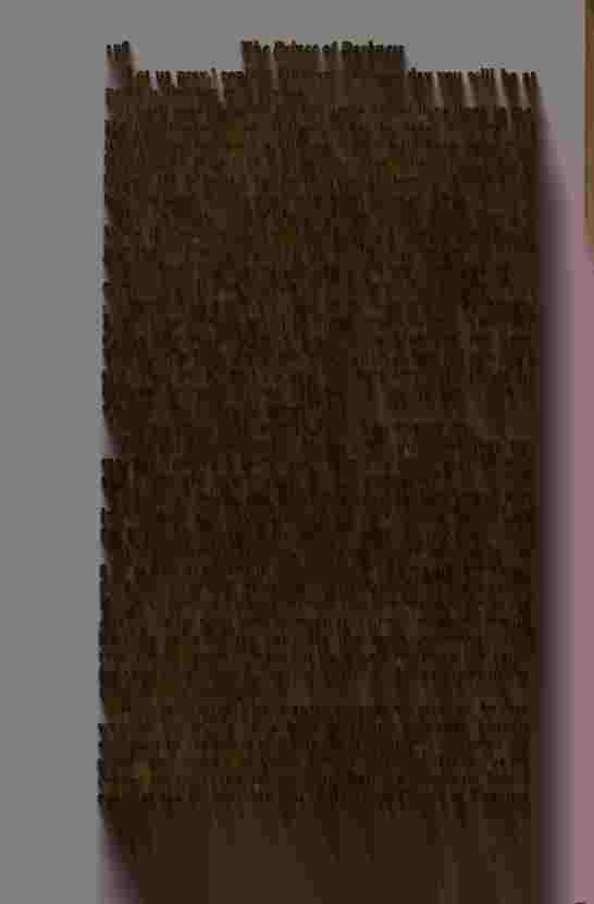 The Prince of Darkness - _355.jpg