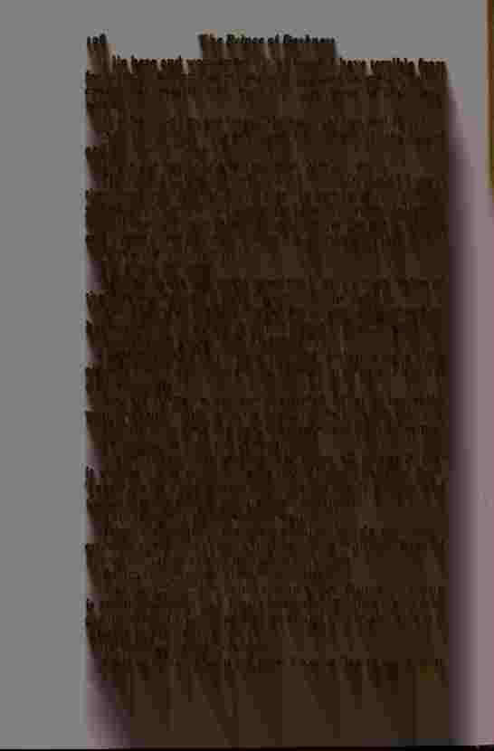 The Prince of Darkness - _255.jpg