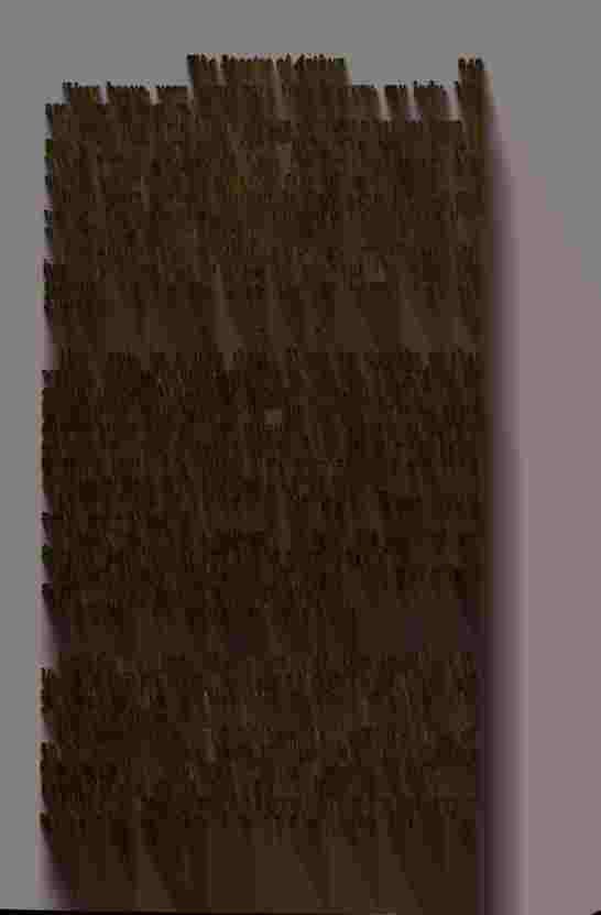 The Prince of Darkness - _500.jpg