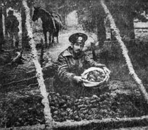 Полное собрание сочинений. Том 15. Чудеса лунной ночи - _16.jpg
