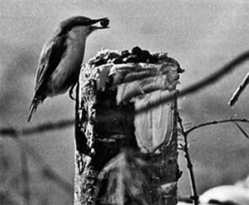 Полное собрание сочинений. Том 17. Зимние перезвоны - _32.jpg