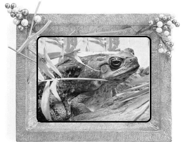 Сказки ветра - image1_55dc16faca4384d303f5fb6c_jpg.jpeg
