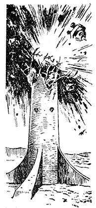 Рождение шестого океана - pic0028t255.png