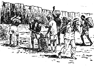 Рождение шестого океана - pic0033t255.png