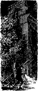 Черный тюльпан (др. изд.) - id73012_image013.png