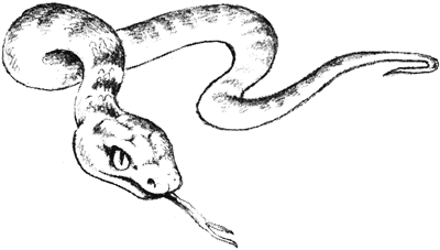 Британские сказки. Домовой из Хилтона - i_135.png