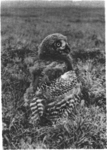 Глобус 1976 - _53.jpg