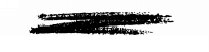 Tainted Black - _5.jpg