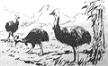 Томек среди охотников за человеческими головами - pic23.png