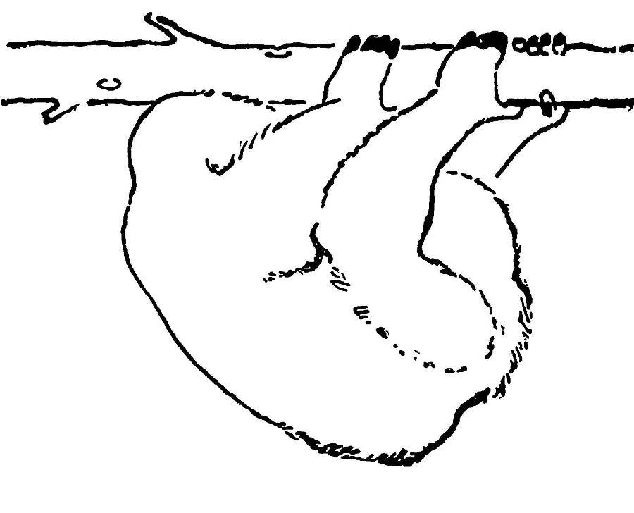 С утра и до вечера - _105.jpg
