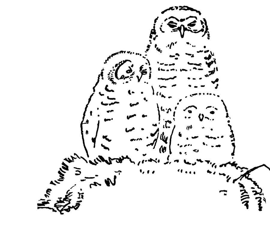 С утра и до вечера - _53.jpg
