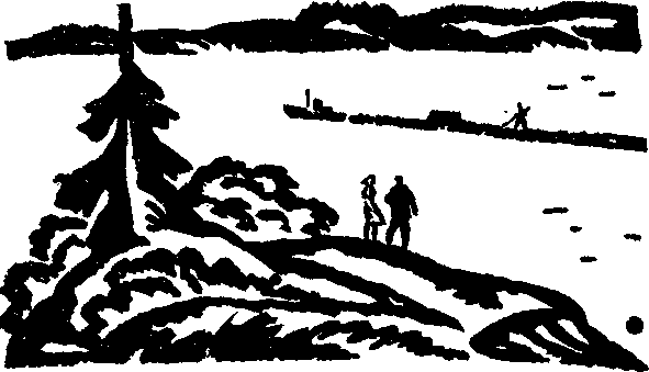Это случилось в тайге (сборник повестей) - i_007.png