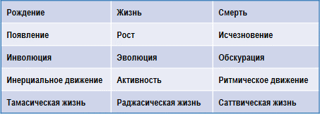 Трактат о космическом огне - img_2.png