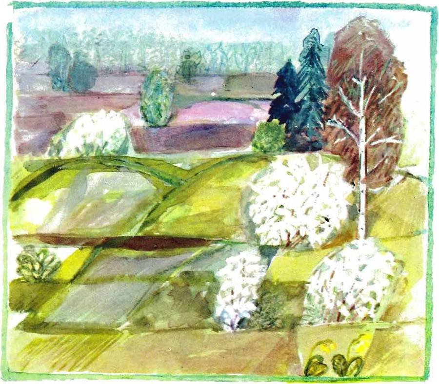 Солнце на дорожке - _22.jpg