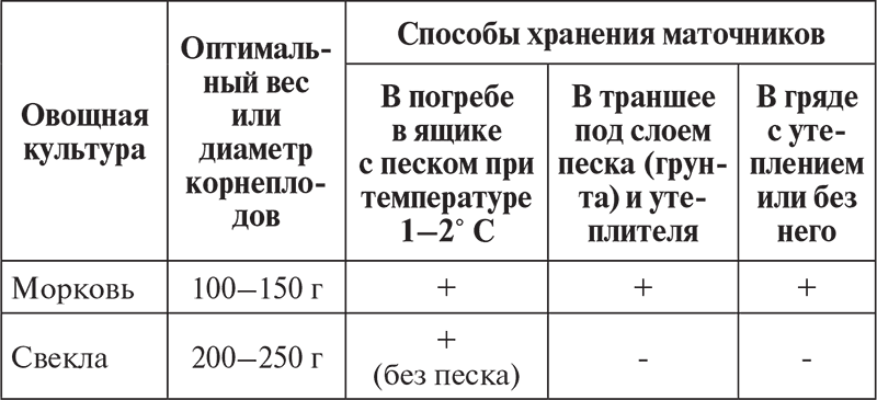 Овощи, ягоды, фрукты. Умная рассада и бережное хранение - i_008.png