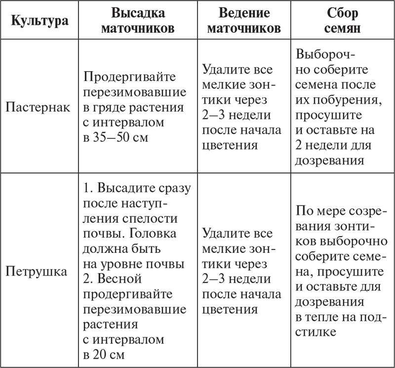 Овощи, ягоды, фрукты. Умная рассада и бережное хранение - i_011.png