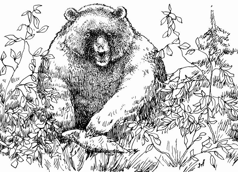 Энциклопедия заядлого охотника. 500 секретов мужского удовольствия - i_003.jpg