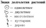 Путешествие с домашними растениями - pic_34.jpg