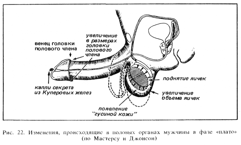 Искусство любви - _23.png