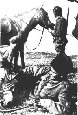 Иностранные добровольцы в вермахте. 1941-1945 - any2fbimgloader21.jpeg