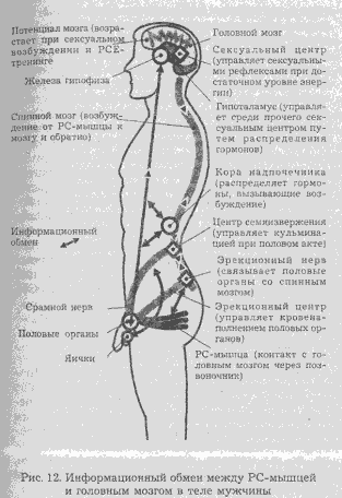 Сексуальная энергия. Ключ к здоровью и процветанию - any2fbimgloader10.png