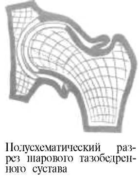 О ловкости и ее развитии - any2fbimgloader10.jpeg