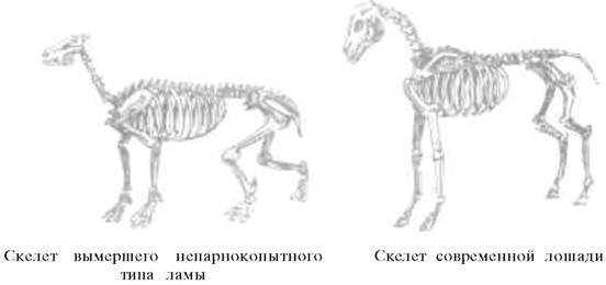 О ловкости и ее развитии - any2fbimgloader69.jpeg