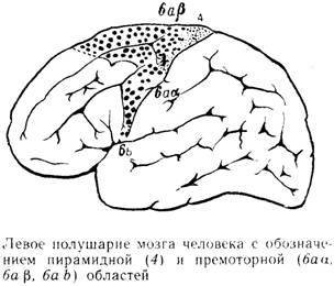 О ловкости и ее развитии - any2fbimgloader113.jpeg