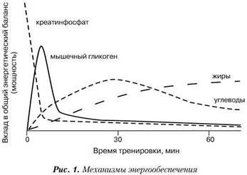 Фармакологическая помощь спортсмену: коррекция факторов, лимитирующих спортивный результат - any2fbimgloader0.jpeg