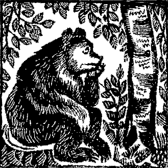 Сказки черепахи Кири-Бум - i_026.png