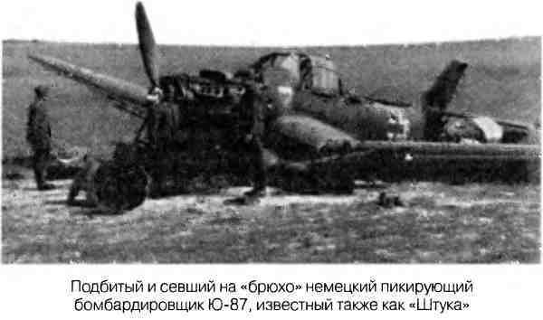 Великая Отечественная альтернатива. 1941 в сослагательном наклонении - i_035.jpg